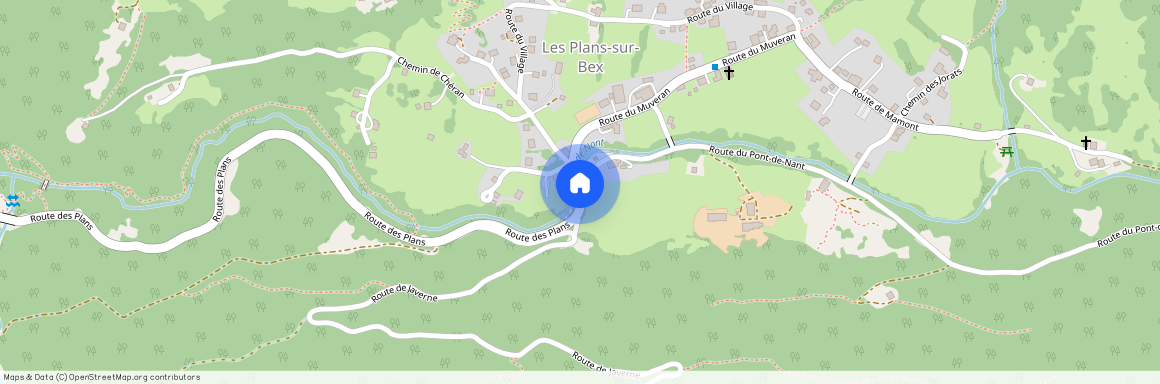 Sur demande, 1880 Les Plans-sur-Bex