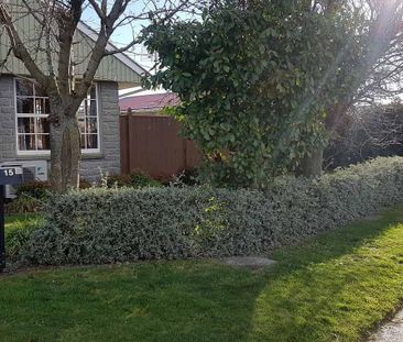 Sunny 3BR Home with garden! - Photo 3