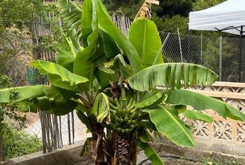 2 room luxury House for rent in Salobreña, Spain