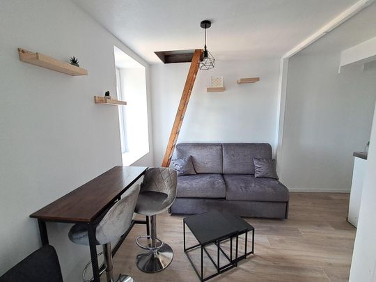 Location Appartement 1 pièce 16m² NANTES 44000 - Photo 1
