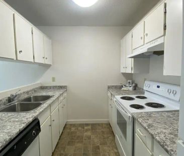 Katharine — 1 Bedroom - Photo 2