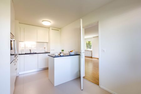 For connoisseurs - Photo 2