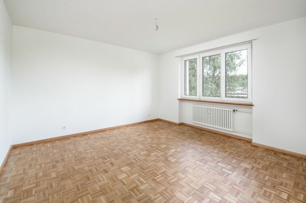 Reinach an ruhiger Lage - geräumige 5 1/2-Zimmer-Maisonette-Wohnung im 1./2.OG (ideal für max. 4 Personen) - Photo 1