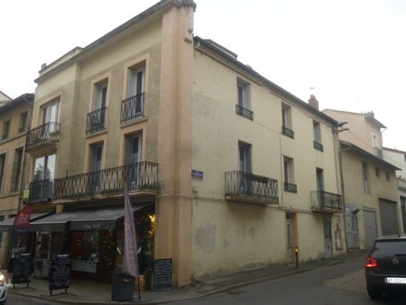 Location Appartement 1 pièce 22m² LE PUY EN VELAY 43000 - Photo 4