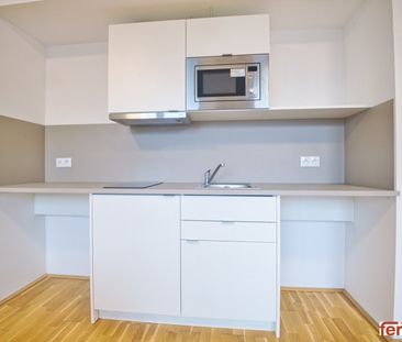 möblierte Apartments zur Kurzzeitmiete (2-12 Monate) / furnished ap... - Photo 1