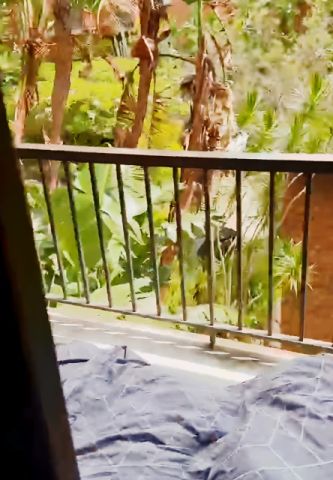 2 bed 1 bath - Photo 5