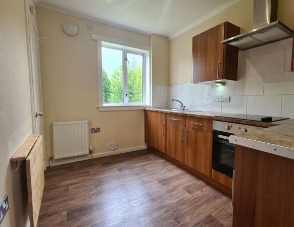 Redhall Drive - Photo 1