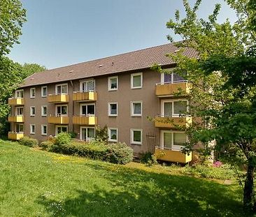 3-Zi.-Whg. mit neuem Tageslichtbad und Balkon - Foto 3