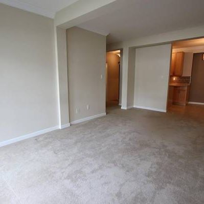 Bright and Spacious 1Bed/1Bath at Hempstead Manor - Photo 4