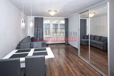 Mieszkanie do wynajęcia Opole, Centrum, 2 pokoje, 42m - Photo 4