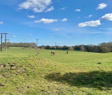 2 bedroom semi-detached bungalow to rent - Photo 5