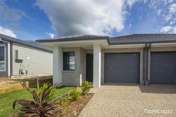 Cozy 3 Bedroom Duplex! - Photo 1