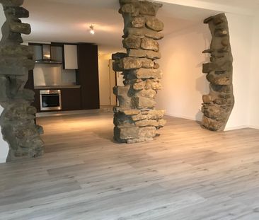 MAGNIFIQUE 2½ PIECES AVEC TERRASSE - Foto 6