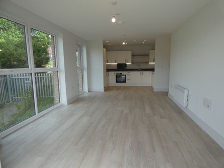2 bed Apartment - To Let - Photo 5