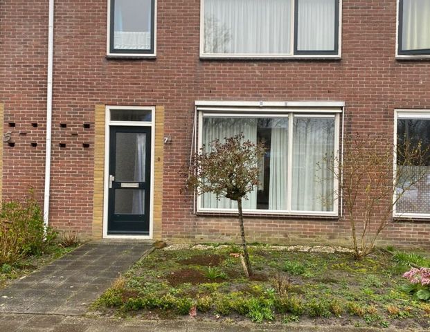 Tijdelijke verhuur Borssele. - Foto 1