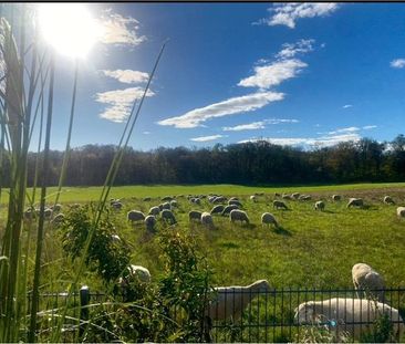 4-ZW, Feldrandlage, 23qm Balkon, Stellplätze, ab 01.03. o.früher - Photo 3