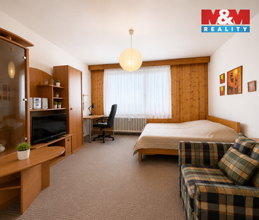 Pronájem bytu 1+1 40 m², Okružní 851, Karviná - Photo 3