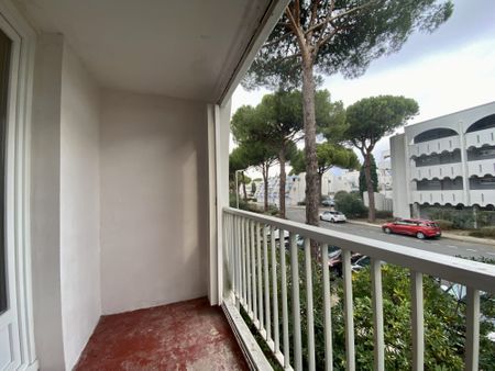 La Grande-Motte - Ponant - Studio -21.31m² - Photo 2