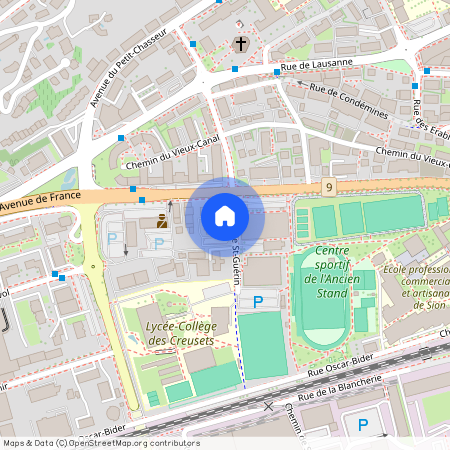 Rue St-Guérin 24, 1950 Sion