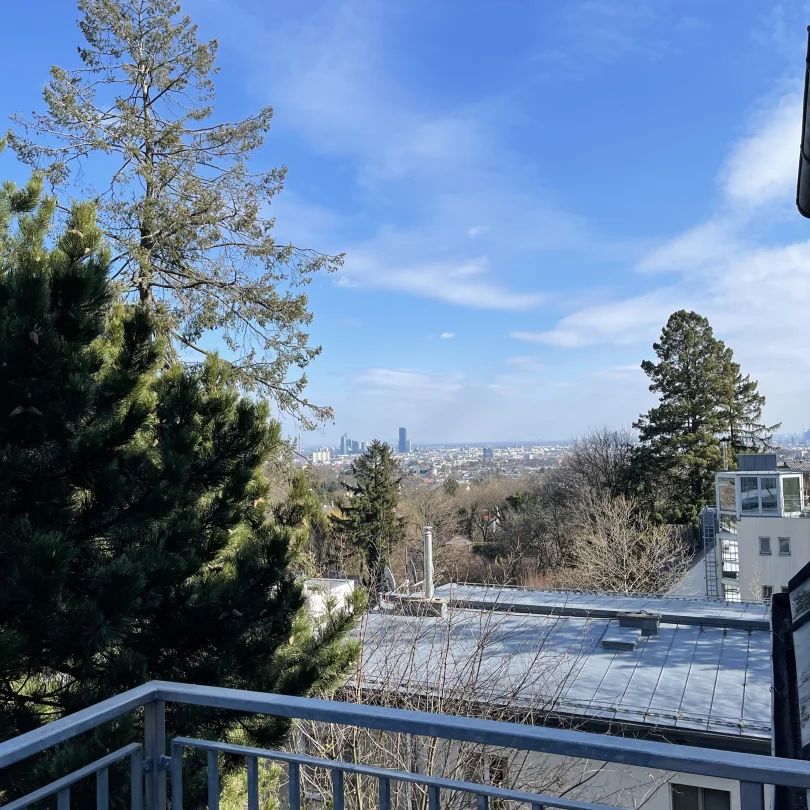 PENTHOUSE LIVING - ATEMBERAUBENDER WIENBLICK - DREI RIESEN TERRASSEN - ERSTBEZUG!! - Foto 1