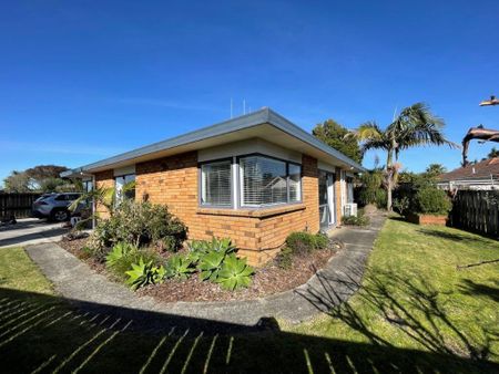 Recently Refurbished - Papamoa - Photo 3