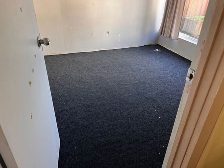 Granny Flat in Onehunga - Photo 4