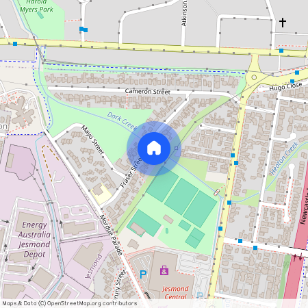 25 Fraser Street, Jesmond NSW 2299