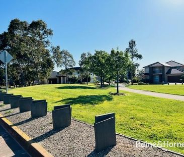 4 Cutter Lane, Point Cook, VIC 3030 - Photo 6