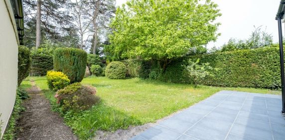 Ferndown LARGE MODERN BUNGALOW - Photo 2