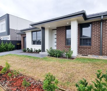 Bright Home - Photo 4