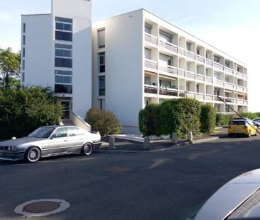 Location Appartement 1 pièce 19m² PESSAC 33600 - Photo 5