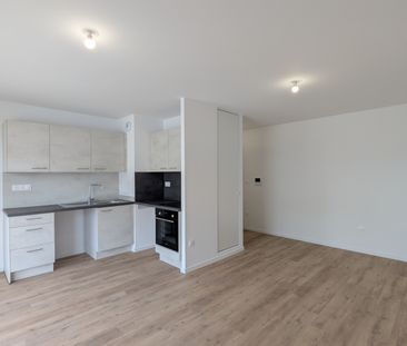 Location Appartement 2 pièces 43m² MITTELHAUSBERGEN 67206 - Photo 2