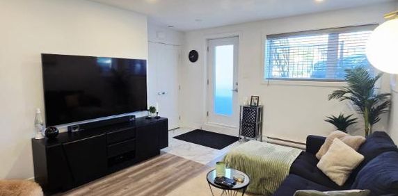 5 1/2, Ste-madeleine, bas de triple(style condo ), porte patio ,terrasse, cabanon, secteur sécuritaire, tranquille, près des services - Photo 2