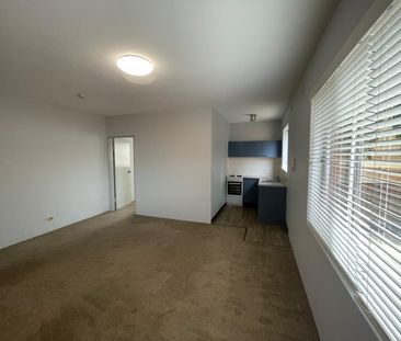 8/115 Flood Street, Leichhardt NSW 2040 - Apartment For Rent | Domain - Photo 2