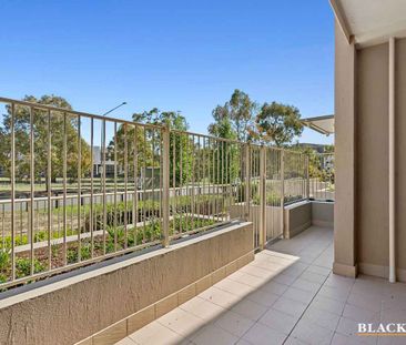 Large ground floor apartment - Photo 3