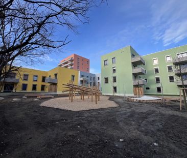 *NEUES PROJEKT* Urbanes Wohnen im Wildgarten ab 01.02.2025 - Foto 5