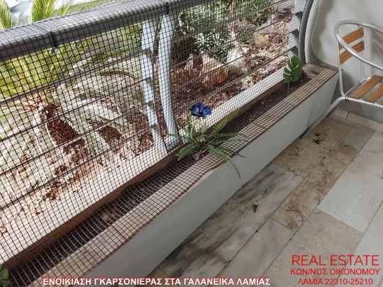Studio/Γκαρσονιέρα για ενοικίαση Γαλανέικα - Νέα Ιωνία - Άνοιξη (Λαμία) - Photo 1