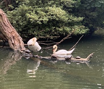 Room in a Shared House, Demesne Road, M16 - Photo 2