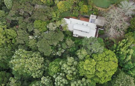 Rare Family Sanctuary in Nature - Photo 4