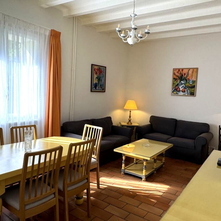 Bel appartement meublé de 4 pièces à Carouge (Genève) - Photo 1