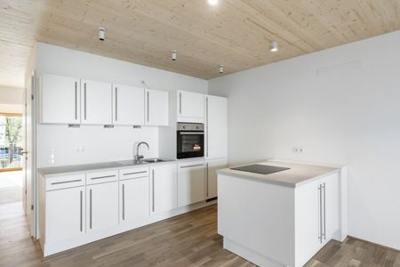 Holz-Hybridbau | Garten | Balkon - Foto 4