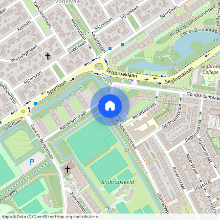 Bloemenbuurt-Oost, 2565 BP, Stokroosstraat, Den Haag