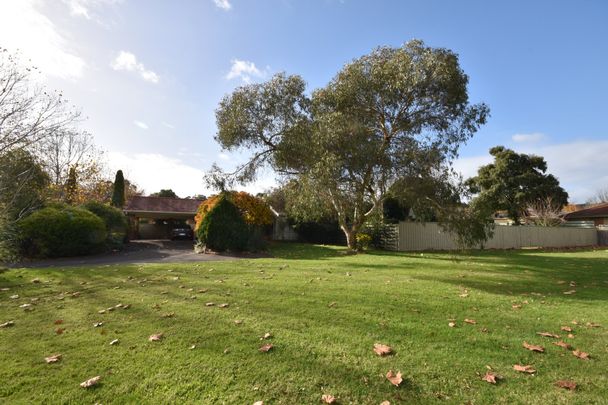 19 Summerhill Park Drive, Mooroolbark - Photo 1