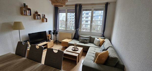 Location Appartement 2 pièces 45m² MULHOUSE 68100 - Photo 1