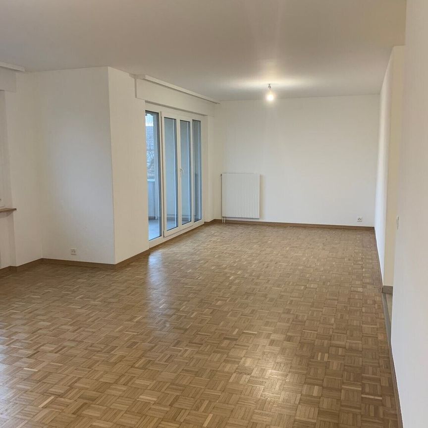 Appartement renové à louer à Sugiez ! - Foto 1