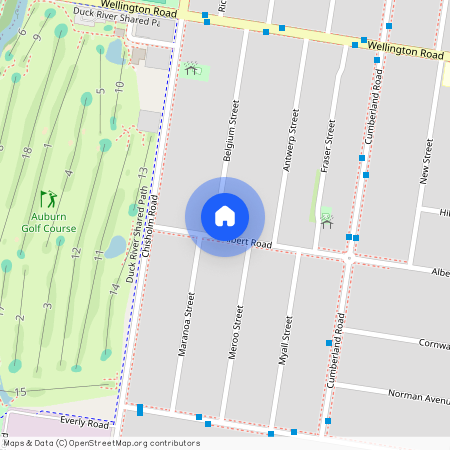 Albert Road 55A, NSW 2144, Auburn