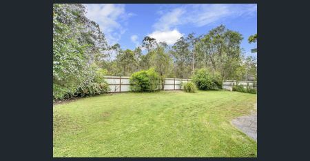 SPACIOUS FAMILY HOME WITH LARGE YARD + PRIVATE GATE TO PETER LIGHTFOOT OVAL - Photo 3