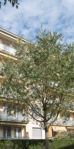 Appartement situé sous-gare - Photo 3