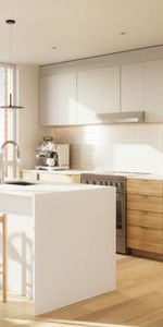 1 CH - 1 SDB - Montréal - $1,620 /mo - Photo 4