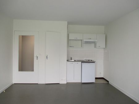 Location Appartement 1 pièce 30m² OLIVET 45160 - Photo 3